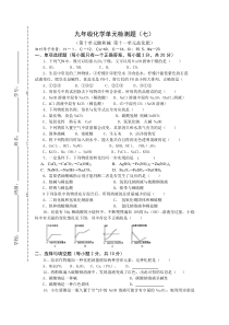 九年级化学单元检测题（10~11）