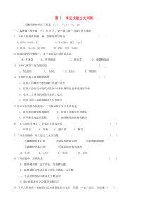 九年级化学下册 第11单元综合技能过关训练 新人教版