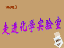 1.3.2《化学药品的取用》PPT课件5-九年级上册化学人教版
