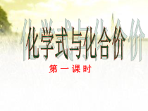 4.4《化学式与化合价》PPT课件4-九年级上册化学人教版