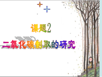 6.2《二氧化碳制取的研究》PPT课件4-九年级上册化学人教版
