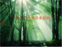 6.2《二氧化碳制取的研究》PPT课件5-九年级上册化学人教版