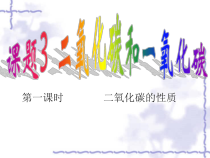 6.3《二氧化碳和一氧化碳》PPT课件5-九年级上册化学人教版