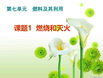 7.1《燃烧和灭火》PPT课件8-九年级上册化学人教版