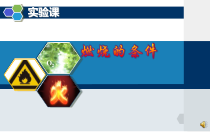 第七单元《实验活动3 燃烧的条件》PPT课件2-九年级上册化学人教版