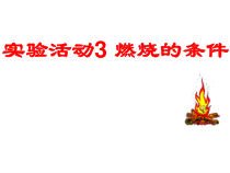 第七单元《实验活动3 燃烧的条件》PPT课件1-九年级上册化学人教版