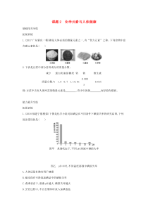第十二单元《化学与生活课题2化学元素与人体降》练习题-九年级化学下册人教版