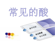 人教版化学九年级下册10.1.2《常见的酸》PPT课件2