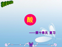 人教版化学九年级下册《第十单元复习》PPT课件3