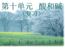 人教版化学九年级下册《第十单元复习》PPT课件1