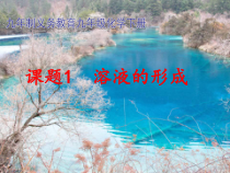 人教版化学九年级下册9.1《溶液的形成》PPT课件6