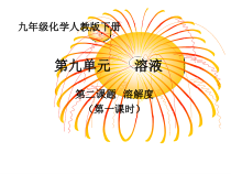 人教版化学九年级下册9.2《溶解度》PPT课件5