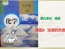 人教版化学九年级下册9.3《溶液的浓度》PPT课件1