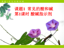 人教版化学九年级下册10.1.1《酸、碱与指示剂作用》PPT课件3