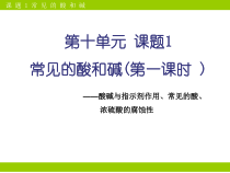 人教版化学九年级下册10.1.1《酸、碱与指示剂作用》PPT课件2