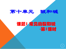 人教版化学九年级下册10.1.2《常见的酸》PPT课件1