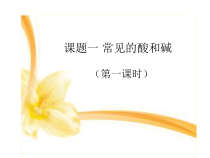 人教版化学九年级下册10.1.1《酸、碱与指示剂作用》PPT课件4