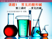 人教版化学九年级下册10.1.3《常见的碱》PPT课件2