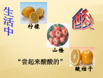 人教版化学九年级下册10.1.2《常见的酸》PPT课件3