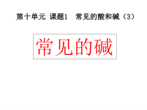 人教版化学九年级下册10.1.3《常见的碱》PPT课件5