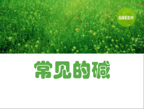 人教版化学九年级下册10.1.3《常见的碱》PPT课件4