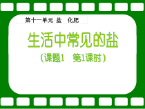 人教版化学九年级下册11.1《生活中常见的盐》PPT课件3