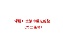 人教版化学九年级下册11.1《生活中常见的盐》PPT课件2