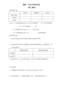 人教版化学九年级下册11.1《生活中常见的盐》导学案1