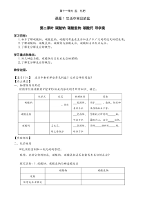 人教版化学九年级下册11.1《生活中常见的盐》导学案2
