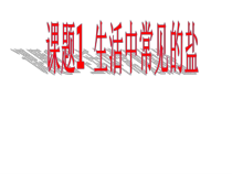 人教版化学九年级下册11.1《生活中常见的盐》PPT课件5