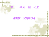 人教版化学九年级下册11.2《化学肥料》PPT课件2
