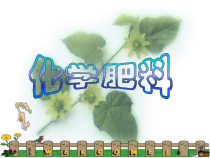 人教版化学九年级下册11.2《化学肥料》PPT课件4
