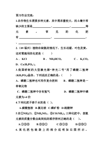 人教版化学九年级下册11.2《化学肥料》导学案1