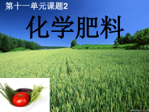 人教版化学九年级下册11.2《化学肥料》PPT课件5