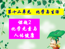 人教版化学九年级下册12.2《化学元素与人体健康》PPT课件6