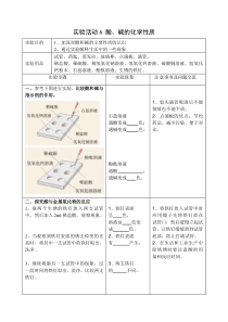 人教版化学九年级下册第10单元《实验活动6 酸、碱的化学性质》实验报告