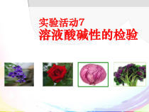 人教版化学九年级下册第10单元《实验活动7 溶液酸碱性的检验》PPT课件1