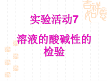 人教版化学九年级下册第10单元《实验活动7 溶液酸碱性的检验》PPT课件2