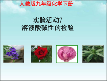 人教版化学九年级下册第10单元《实验活动7 溶液酸碱性的检验》PPT课件4
