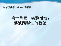 人教版化学九年级下册第10单元《实验活动7 溶液酸碱性的检验》PPT课件6