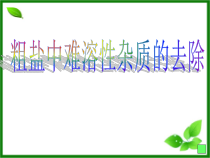 人教版化学九年级下册第11单元《实验活动8 粗盐中难溶性杂质的去除》PPT课件2