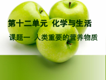 人教版化学九年级下册12.1《人类重要的营养物质》PPT课件2