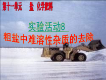 人教版化学九年级下册第11单元《实验活动8 粗盐中难溶性杂质的去除》PPT课件3