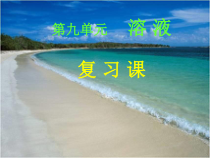 人教版化学九年级下册第九单元《单元复习》PPT课件2