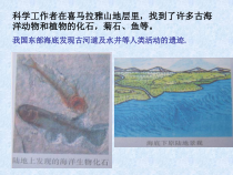 《海陆的变迁》PPT课件-七年级上册科学华师大版