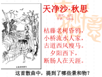 《生物的基本特征》PPT课件-七年级上册科学华师大版