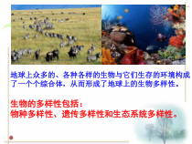 《生物物种的多样性》PPT课件-七年级上册科学华师大版