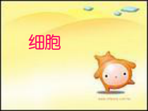 《细胞》PPT课件-七年级上册科学华师大版