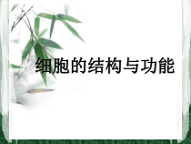 《细胞的结构与功能》PPT课件-七年级上册科学华师大版