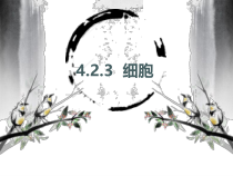 《细胞的结构与功能》PPT课件-七年级上册科学华师大版